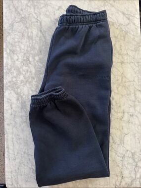 Aritzia Admiral Blue cozy Sweatfleece Mega fit jogger sweatpants XS